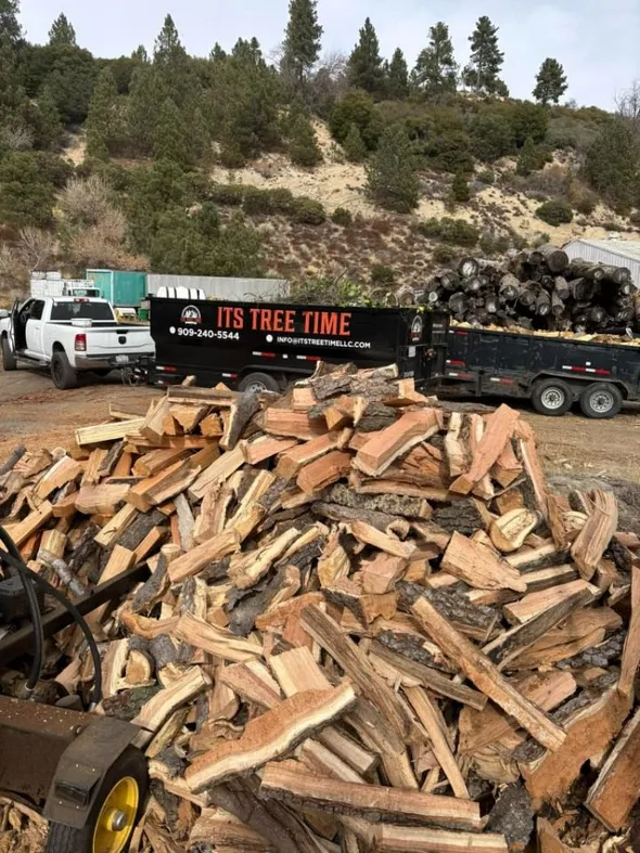A large pile of chopped firewood sits in the foreground, with a black truck and trailer that says ITS TREE TIME parked nearby. There are trees and a hillside in the background.
