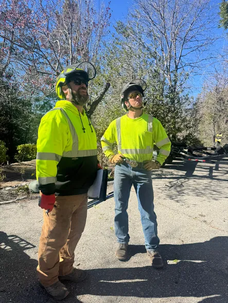 Two workers wearing bright yellow safety shirts, helmets, and protective eyewear stand on a paved area outdoors, looking upward. Trees and work equipment are visible in the background.